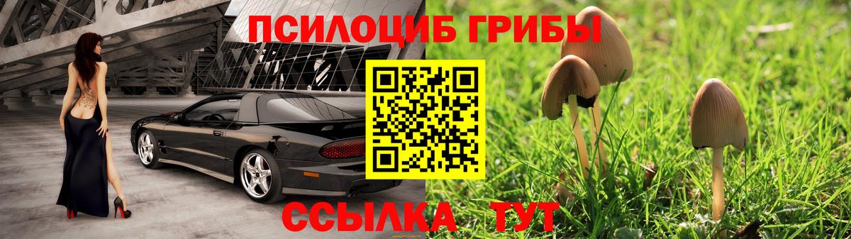Галлюциногенные грибы мицелий  Вход с VPN  Псилоцибиновые грибы мицелий  Егорьевск 